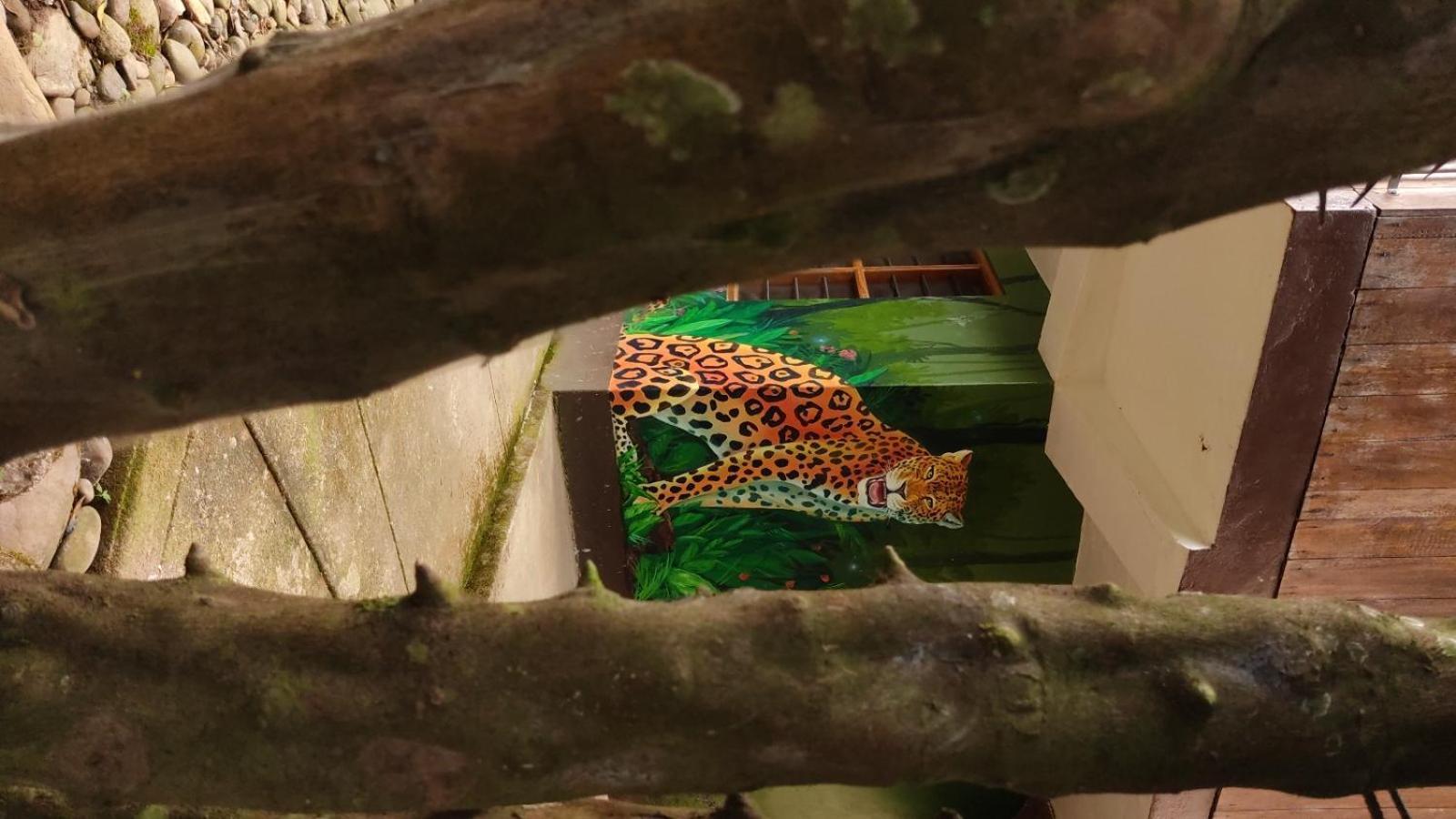 Manu Gallito De Las Rocas Pillcopata Zewnętrze zdjęcie